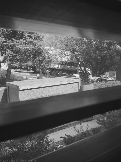 Apr 2015 moving bw web (3 of 11)