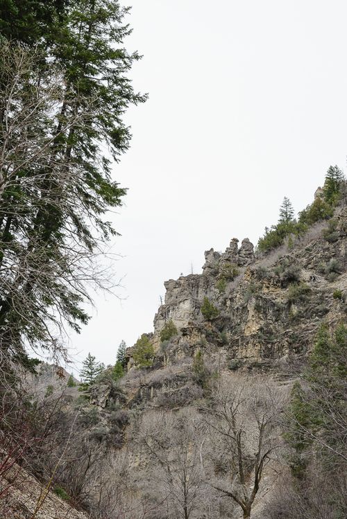 Mar  2015 wheeler creek web (14 of 15)