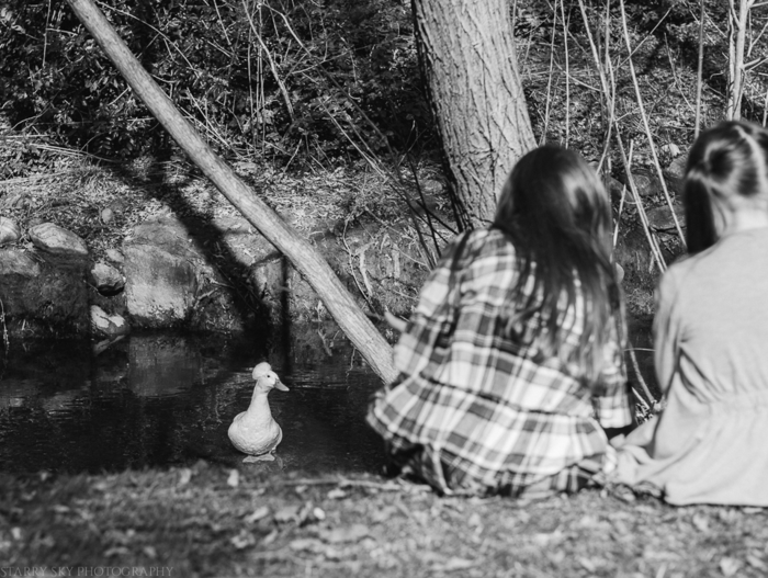 Mar 2015 bird pond web (1 of 1)-3