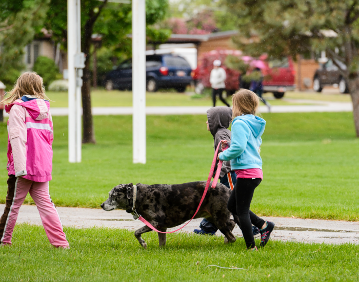 May 2015 walk web (10 of 13)