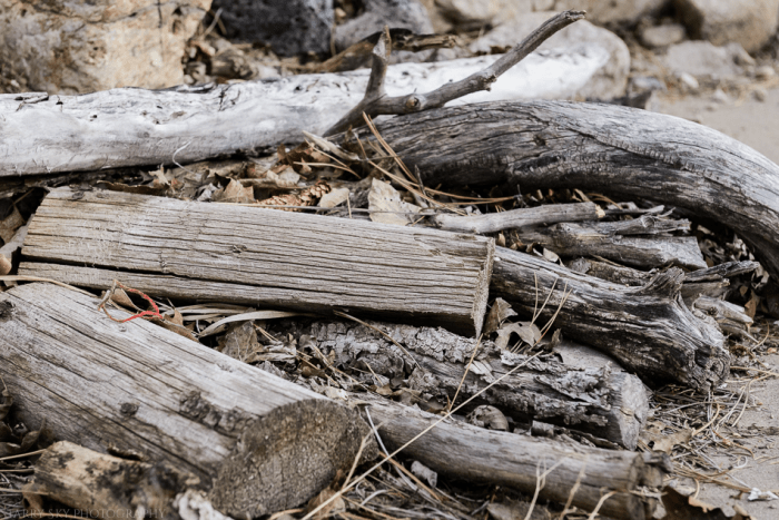 May 2015 yardwork web (6 of 8)