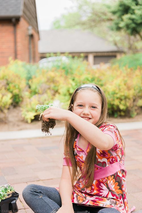 May 2015 flowers web (8 of 12)