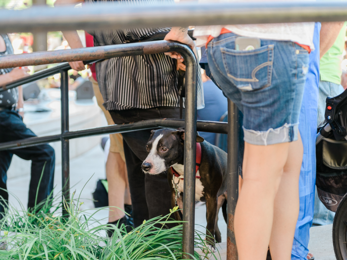 Jun 2015 ogden arts web (12 of 19)