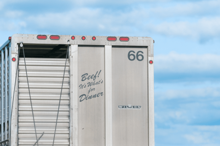 Jun 2015 trip web (5 of 6)