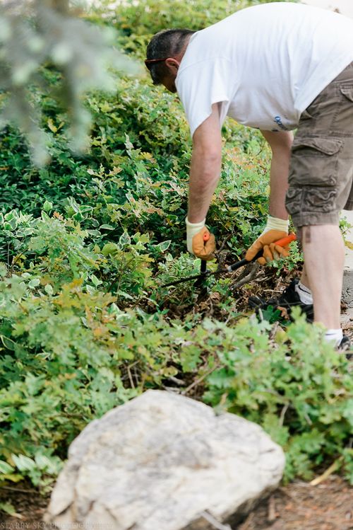 Jun 2015 home web (3 of 12)