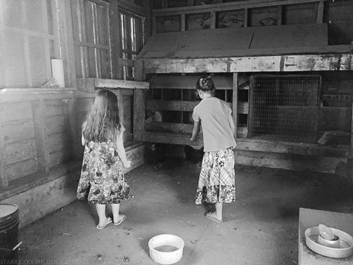 Jun 2015 farm web (4 of 5)