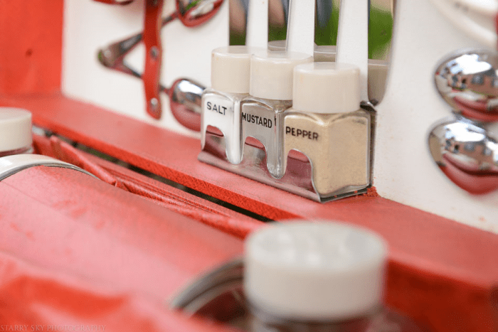 June 2015 chipmunk web (1 of 1)