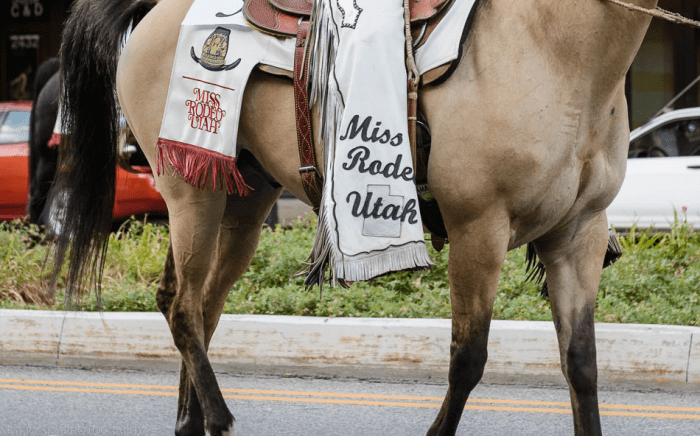 July 2015 pioneer parade web (2 of 14)