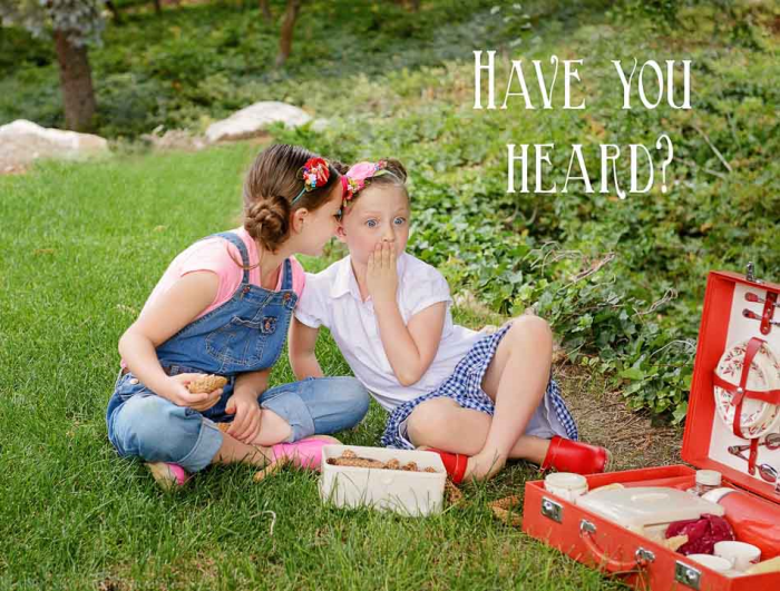 June 2015 chipmunk special web (1 of 1)