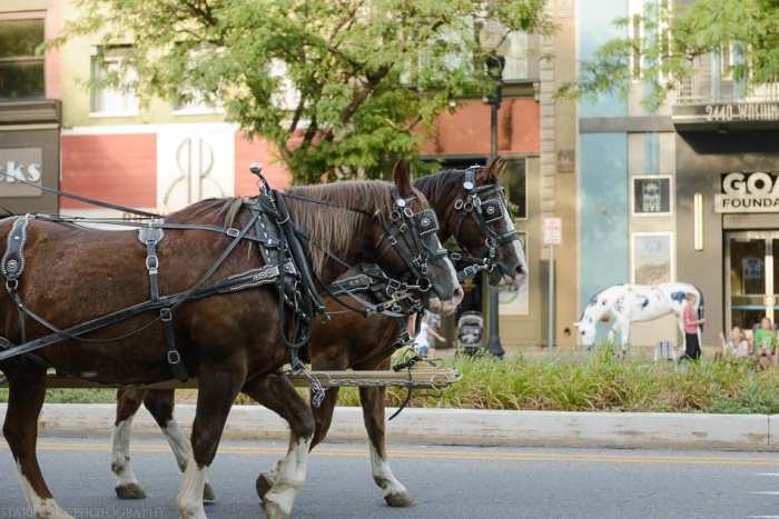 July 2015 pioneer parade web (1 of 14)