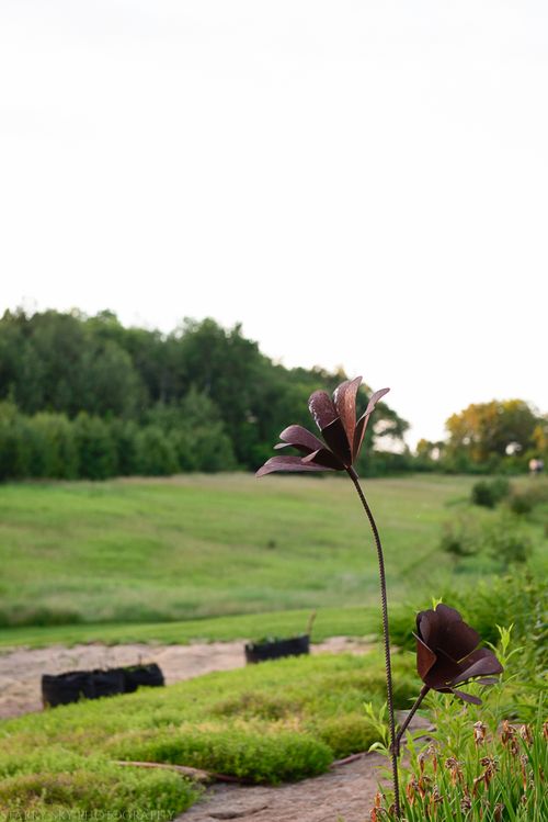 Jun 2015 farm web (1 of 1)