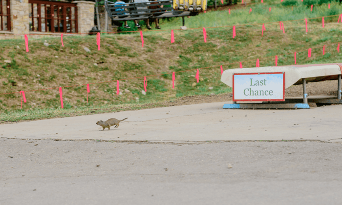 Jun 2015 fireworks web (9 of 18)