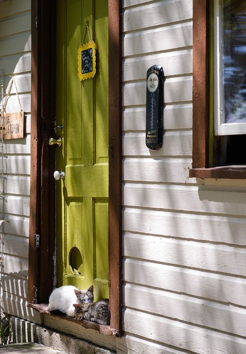 Jun 2015 cabin web (2 of 9)