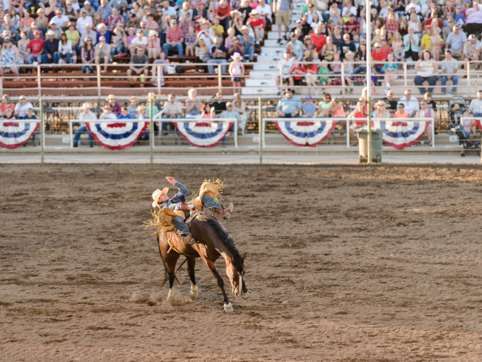 Jul 2015 ogden rodeo web (11 of 31)
