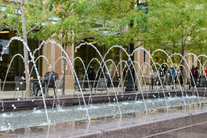 Aug 2015  C  SLC web (6 of 17)