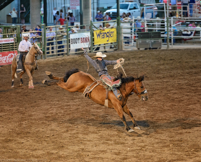 Jul 2015 ogden rodeo web (23 of 31)