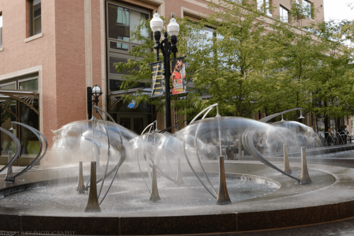 Aug 2015  C  SLC web (10 of 17)