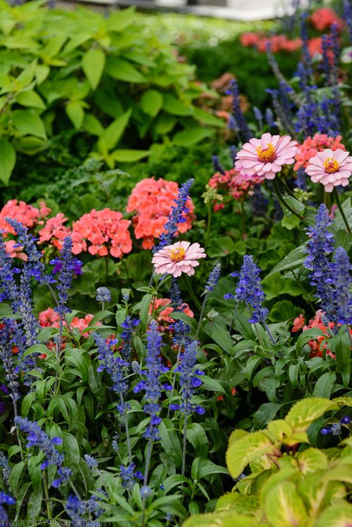 Aug 2015  C  SLC web (3 of 17)