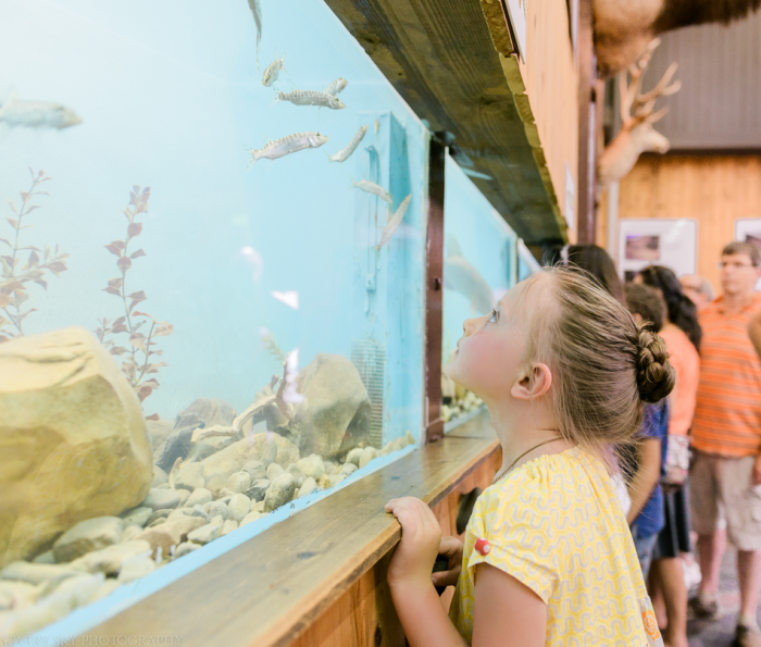 Sept 2015 fair web (6 of 29)