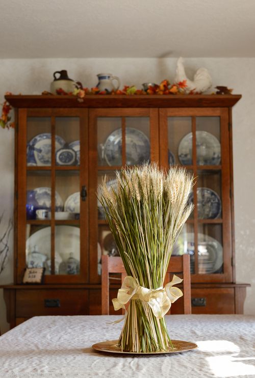 Sept 2015 wheat web (1 of 1)