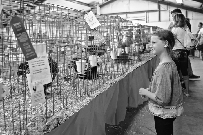 Sept 2015 fair web (10 of 29)