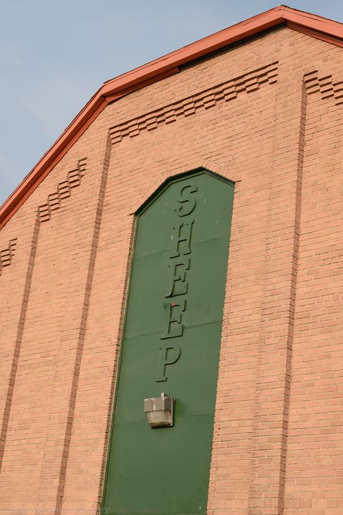 Sept 2015 fair web (14 of 29)