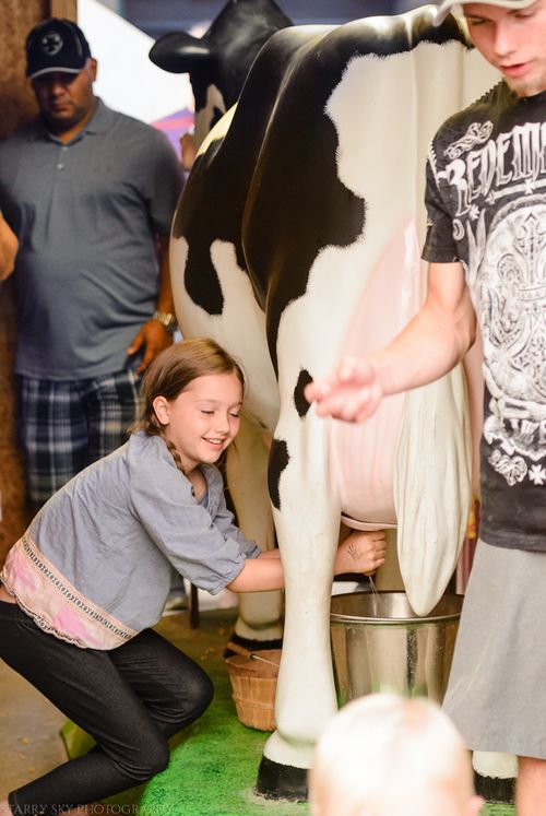 Sept 2015 fair web (26 of 29)