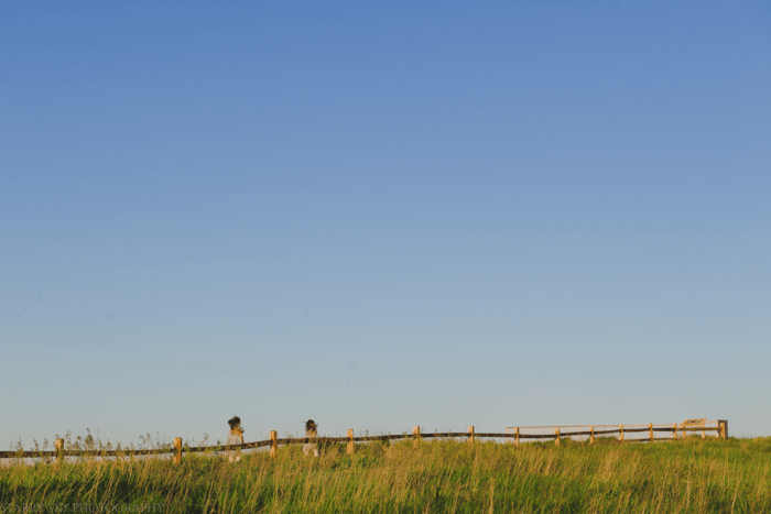 July 2015 badlands  web (8 of 20)