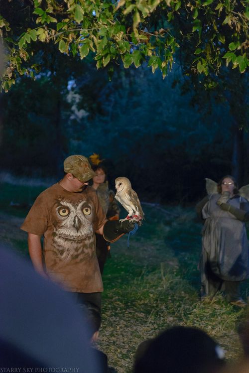 Oct 2015 nature center festival web (9 of 11)