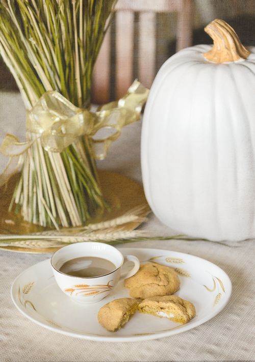 Sep 2015 snickerdoodles web (1 of 1)-2