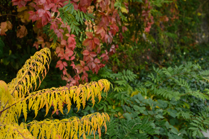 Oct 2015 bike web (4 of 9)