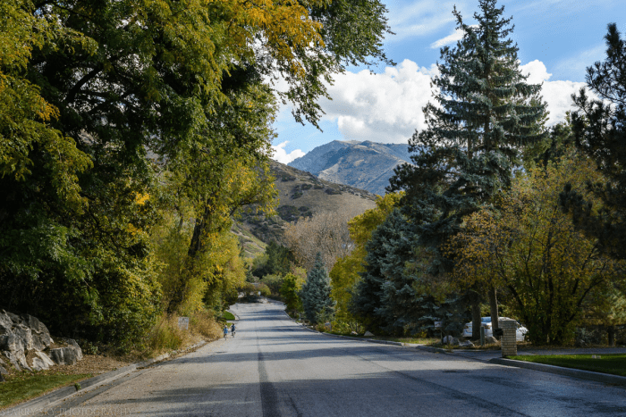 Oct 2015 bike web (8 of 9)