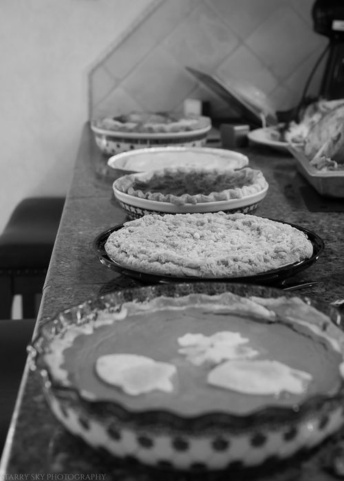 Nov 2015 thanksgiving web (3 of 9)