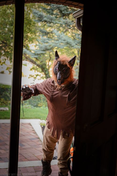 Oct 2015 little red web (1 of 1)-6