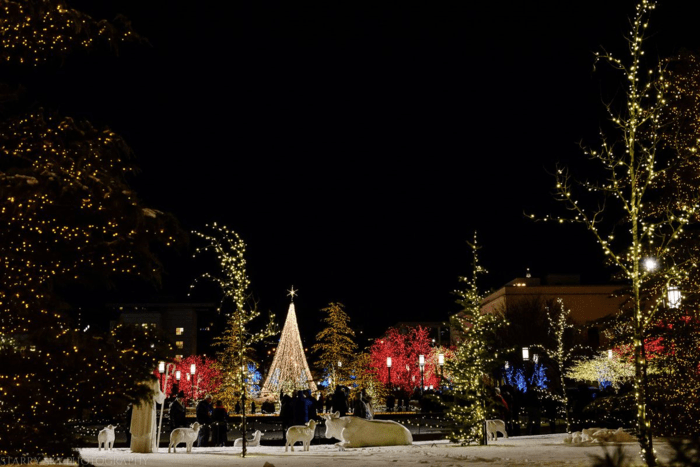 Dec 2015 lights web (5 of 8)