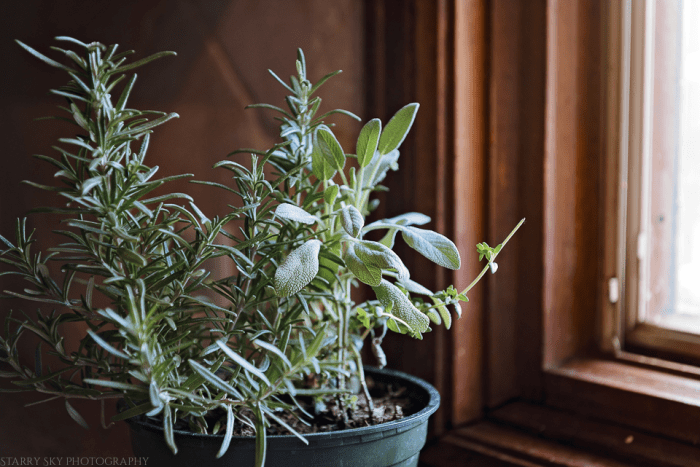 Dec 2015 scent web (1 of 2)