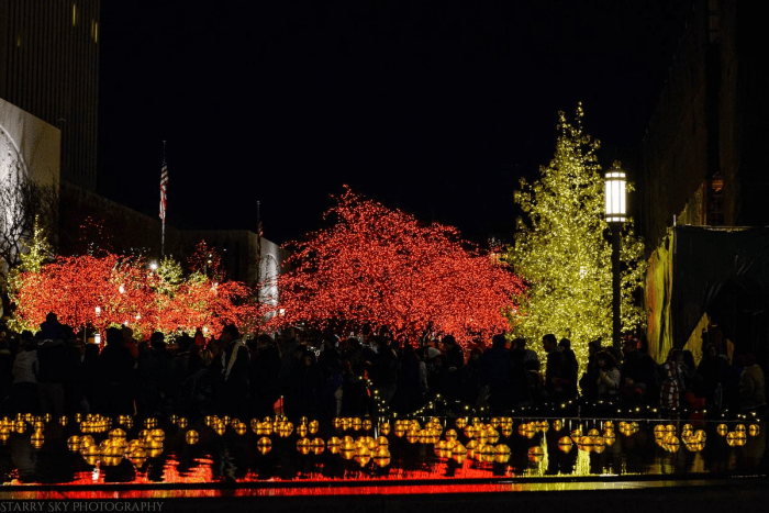 Dec 2015 lights web (6 of 8)