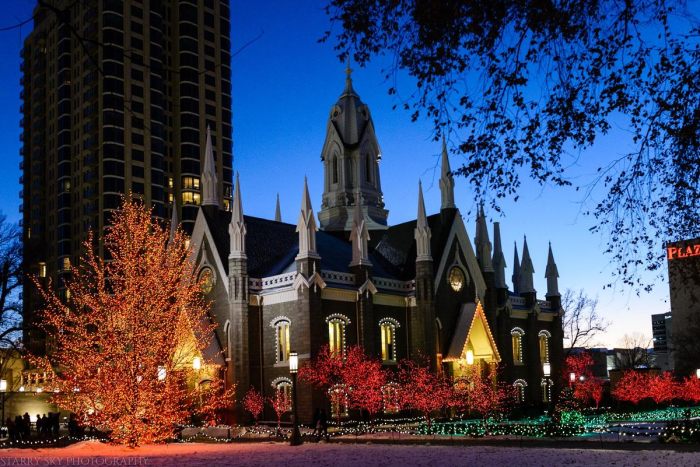 Dec 2015 lights web (1 of 1)-3