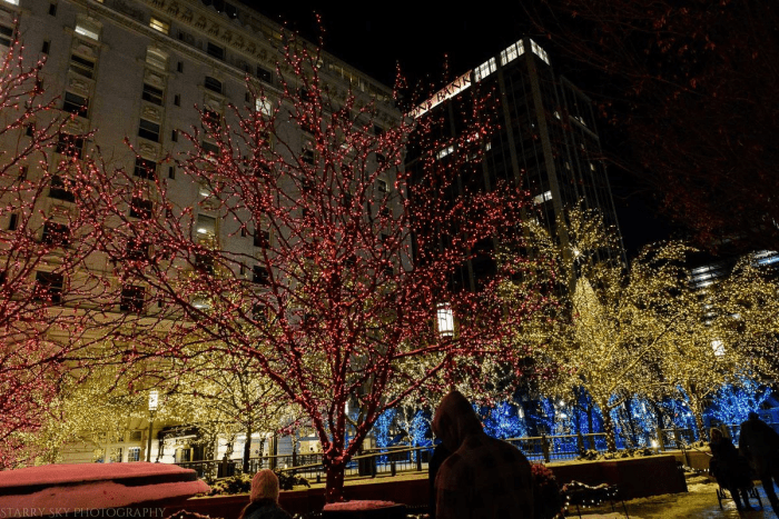 Dec 2015 lights web (4 of 8)