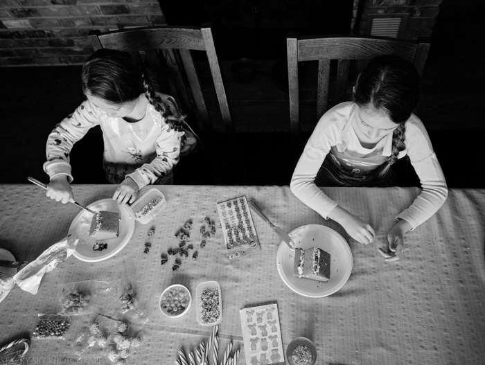 Dec 2015 gingerbread web (4 of 10)