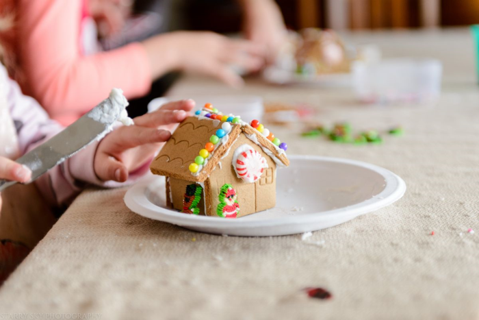 Dec 2015 gingerbread web (7 of 10)