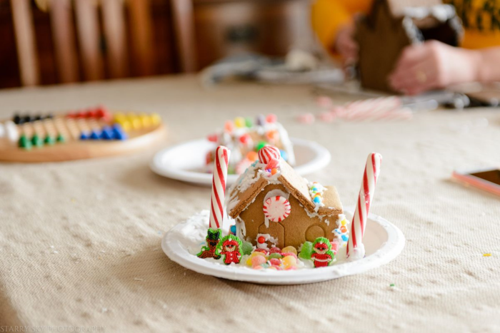 Dec 2015 gingerbread web (10 of 10)