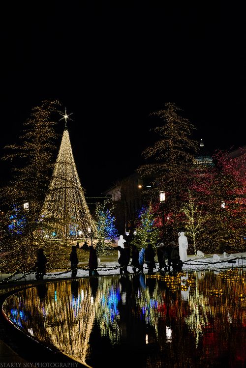 Dec 2015 lights web (7 of 8)