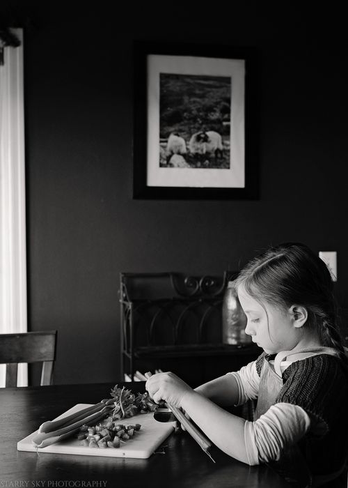 Dec 2015 chop bw web (1 of 2)