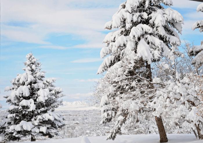 Dec 2015 snow shovel web (8 of 8)