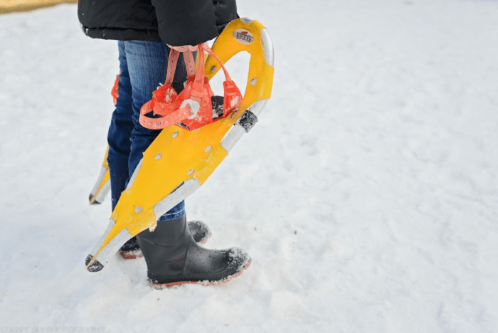 Jan 2016 snowshoe web (4 of 6)