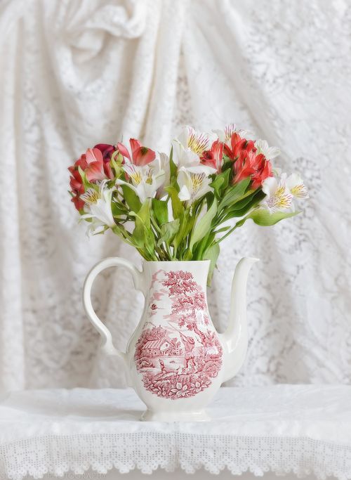 Feb 2016 flowers web (1 of 1)