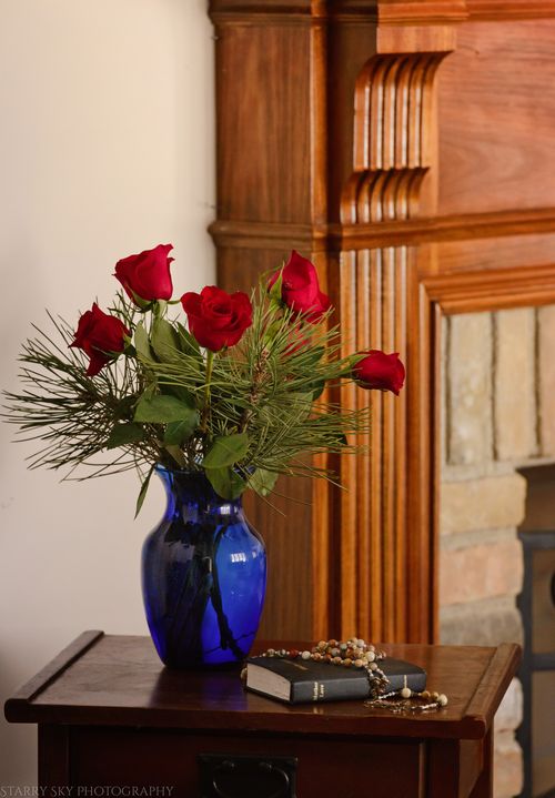 Jan 2016 roses web (1 of 1)