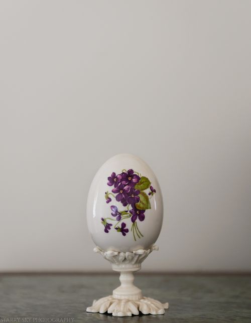 Mar 2016 rabbit web (1 of 2)