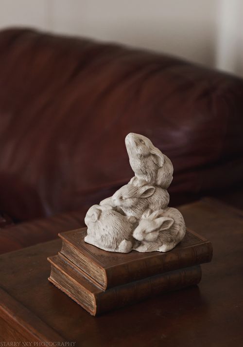 Mar 2016 rabbit web (2 of 2)